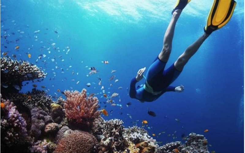 海南西线野趣游
